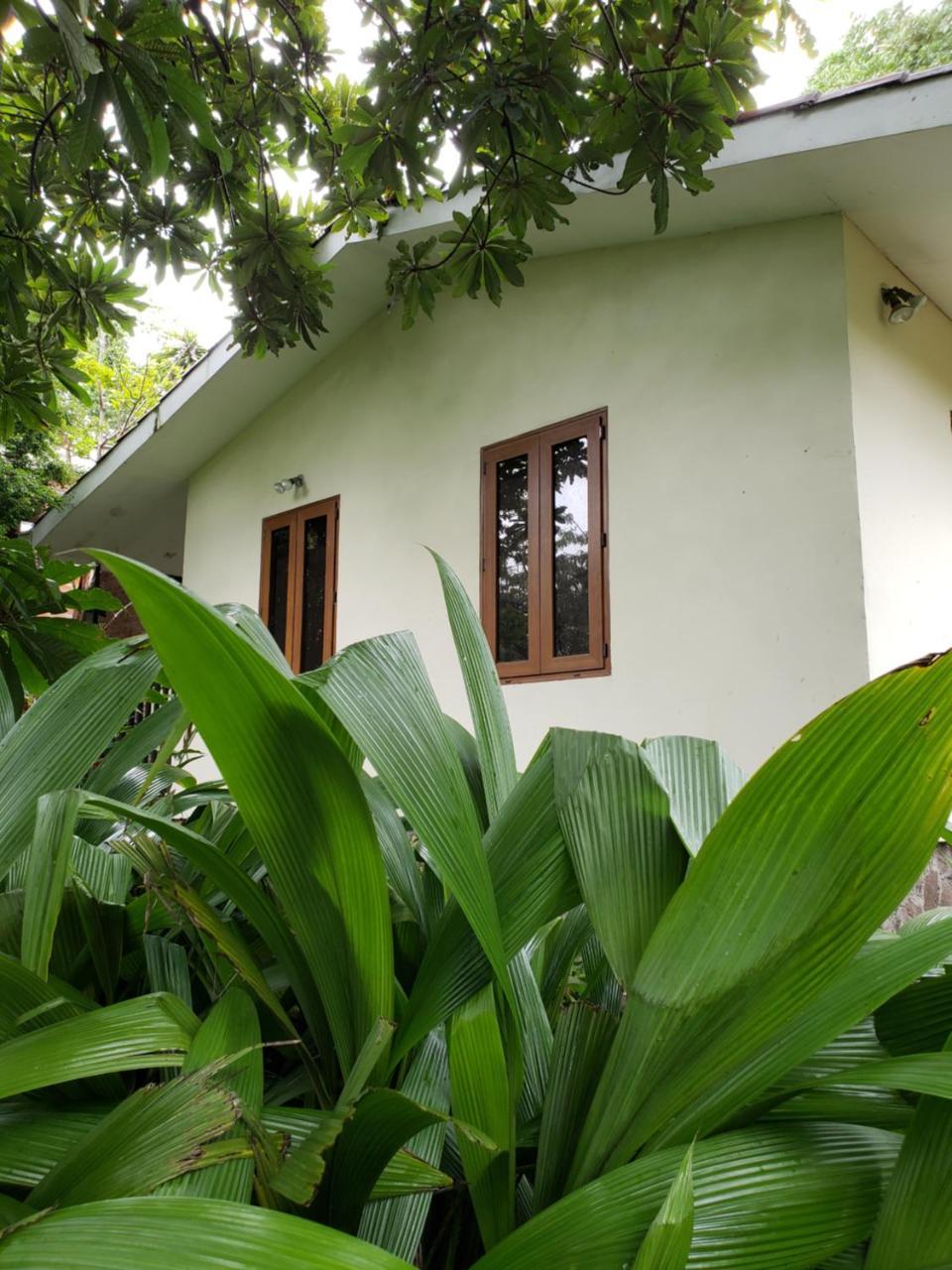 Domus Hotel San Salvador Eksteriør billede