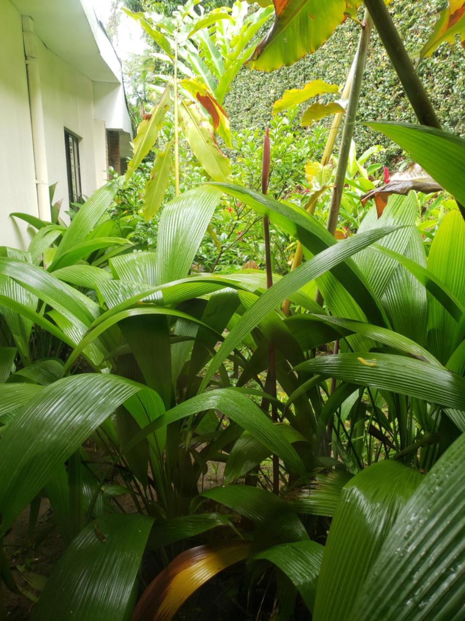 Domus Hotel San Salvador Eksteriør billede