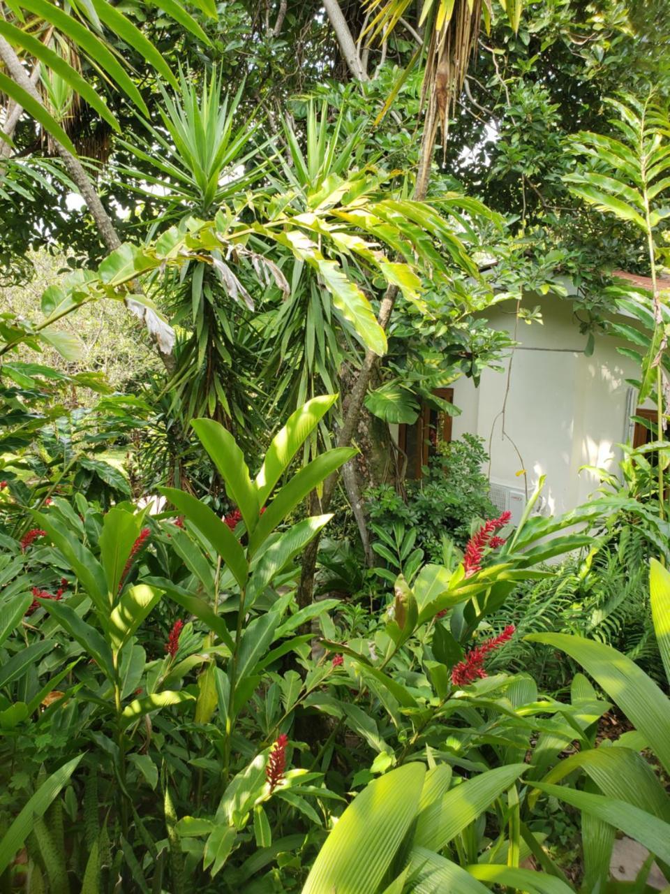 Domus Hotel San Salvador Eksteriør billede