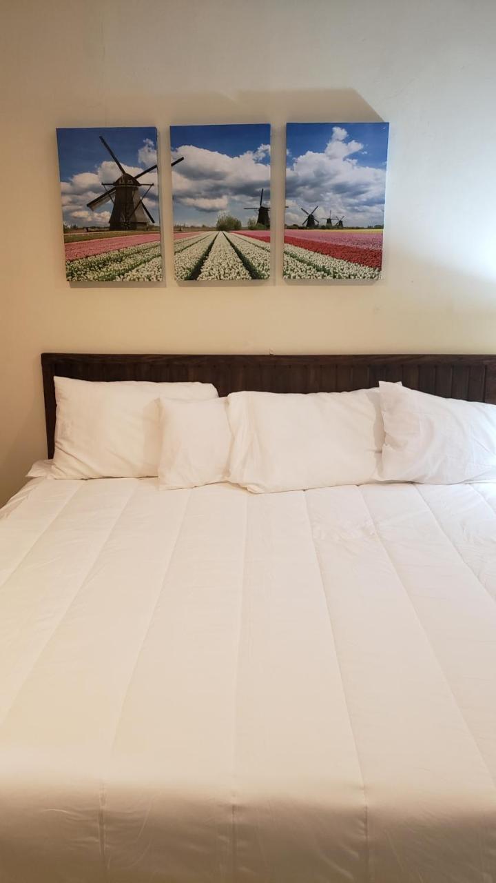 Domus Hotel San Salvador Eksteriør billede