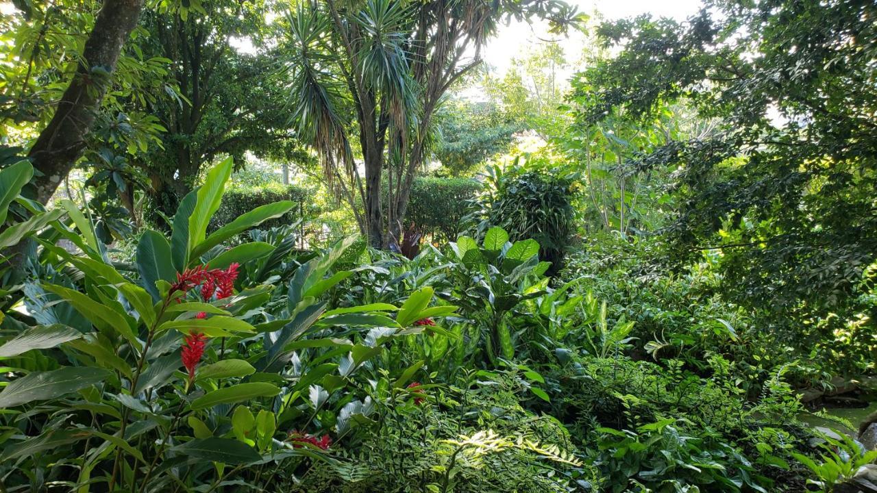 Domus Hotel San Salvador Eksteriør billede